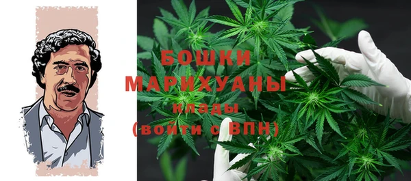 мдпв Богданович