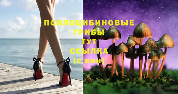 мдпв Богданович