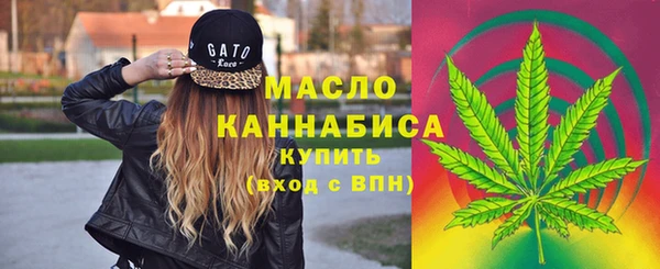 мдпв Богданович