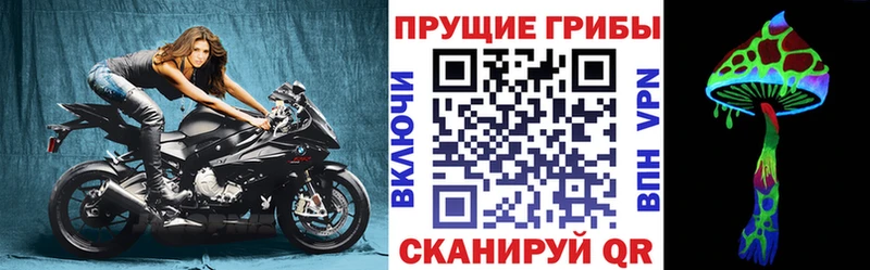 Галлюциногенные грибы Psilocybine cubensis  сколько стоит  Колпашево 